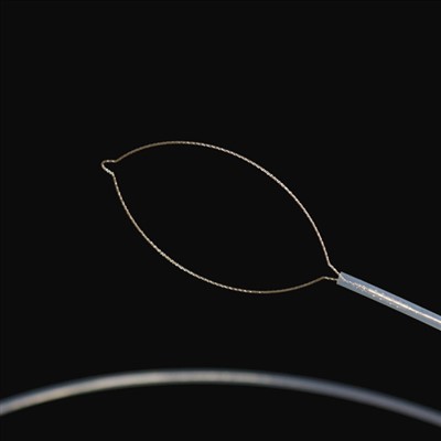 जबडा प्रकार विदेशी शरीर विभागहरू