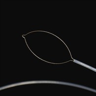 PR HENGE टाइप गर्नुहोस् विदेशी शरीर विभागहरू